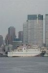 Dcim1482/DSC_2448
