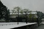 DSC_1916