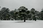 DSC_1941