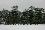 DSC_1942