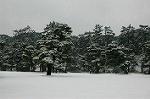 DSC_1943
