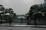 DSC_1954