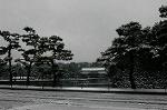 DSC_1956