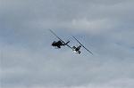 Dcim1504/DSC_3153