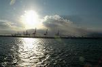 Dcim1508/DSC_3451