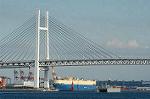 Dcim1509/DSC_3534