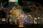 Dcim1512/DSC_3685