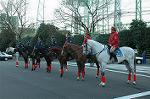 Dcim1513/DSC_3798
