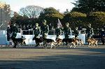 Dcim1514/DSC_3881