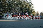 Dcim1514/DSC_3885