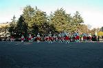 Dcim1514/DSC_3900