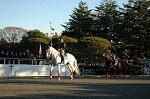 Dcim1514/DSC_3901