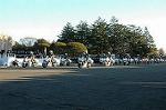 Dcim1514/DSC_3911
