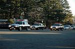 Dcim1515/DSC_3949