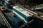 Dcim1515/DSC_4039