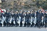 Dcim1516/DSC_3695