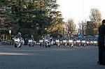 Dcim1516/DSC_3746