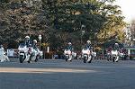 Dcim1516/DSC_3755