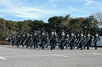 Dcim1517/DSC_4139