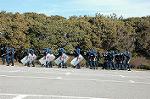 Dcim1517/DSC_4150