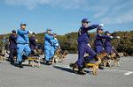Dcim1518/DSC_4173