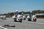 Dcim1518/DSC_4184