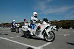 Dcim1518/DSC_4192