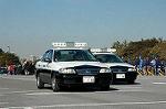 Dcim1518/DSC_4205