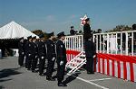 Dcim1518/DSC_4225