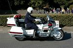 Dcim1519/DSC_4283