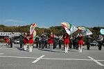 Dcim1519/DSC_4336