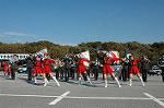 Dcim1519/DSC_4337