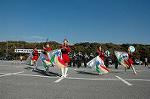 Dcim1519/DSC_4342