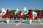 Dcim1519/DSC_4346
