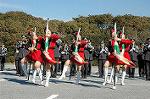 Dcim1519/DSC_4351