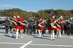 Dcim1519/DSC_4352