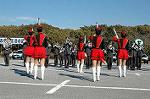 Dcim1519/DSC_4353