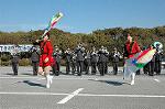 Dcim1519/DSC_4361