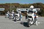 Dcim1520/DSC_4460