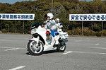 Dcim1520/DSC_4464