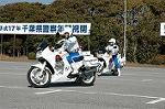 Dcim1520/DSC_4465