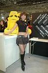 Dcim1522/DSC_4590