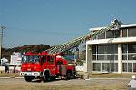 Dcim1531/DSC_5549