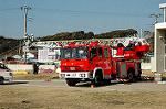 Dcim1531/DSC_5554