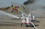Dcim1531/DSC_5603