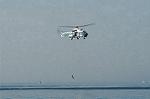 Dcim1532/DSC_4041
