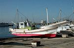 Dcim1534/DSC_5673