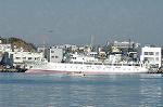 Dcim1536/DSC_4222