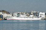 Dcim1536/DSC_4224