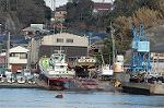 Dcim1536/DSC_4232